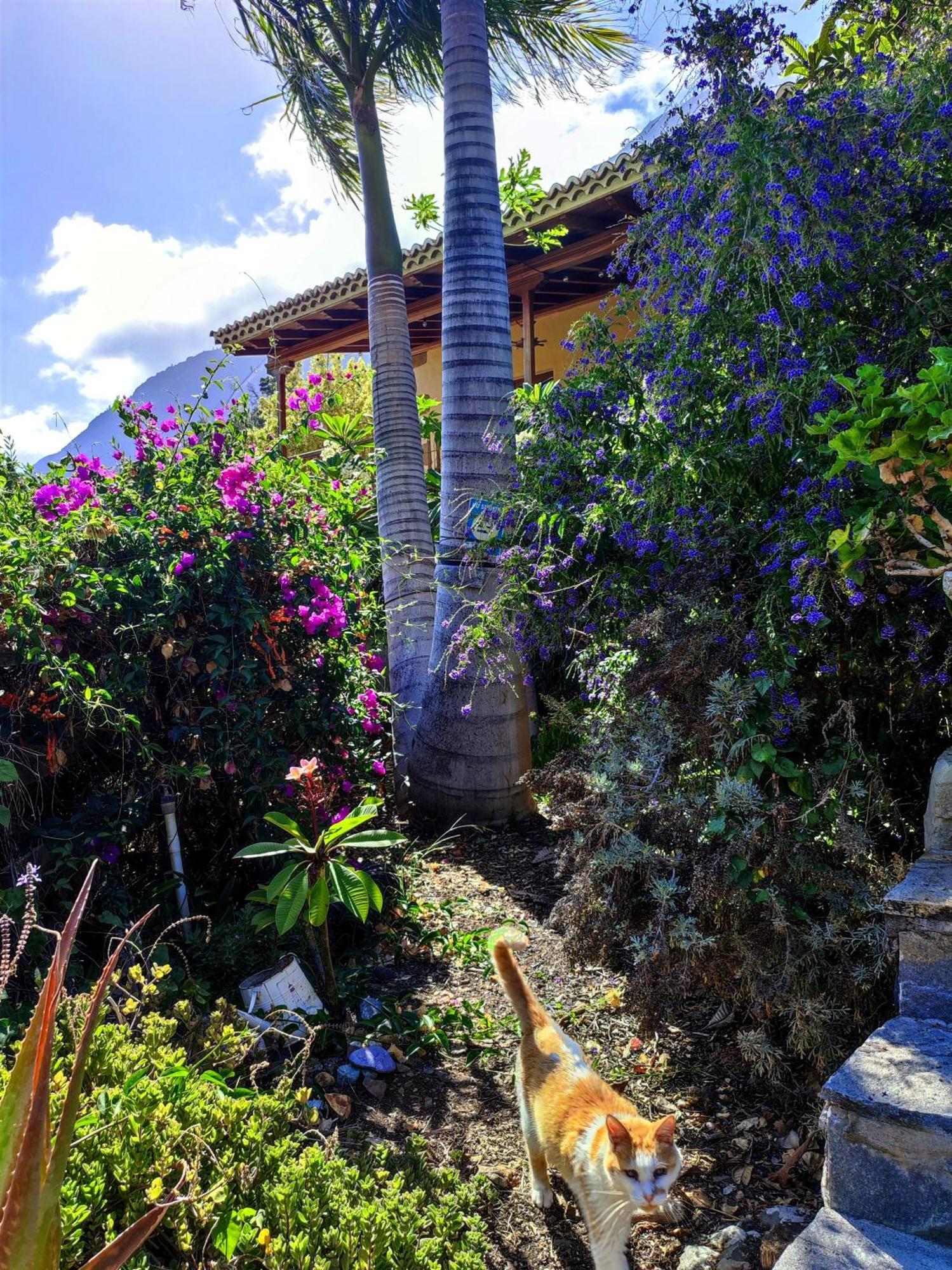 Rivendell Eco Lodge El Paso Exterior foto